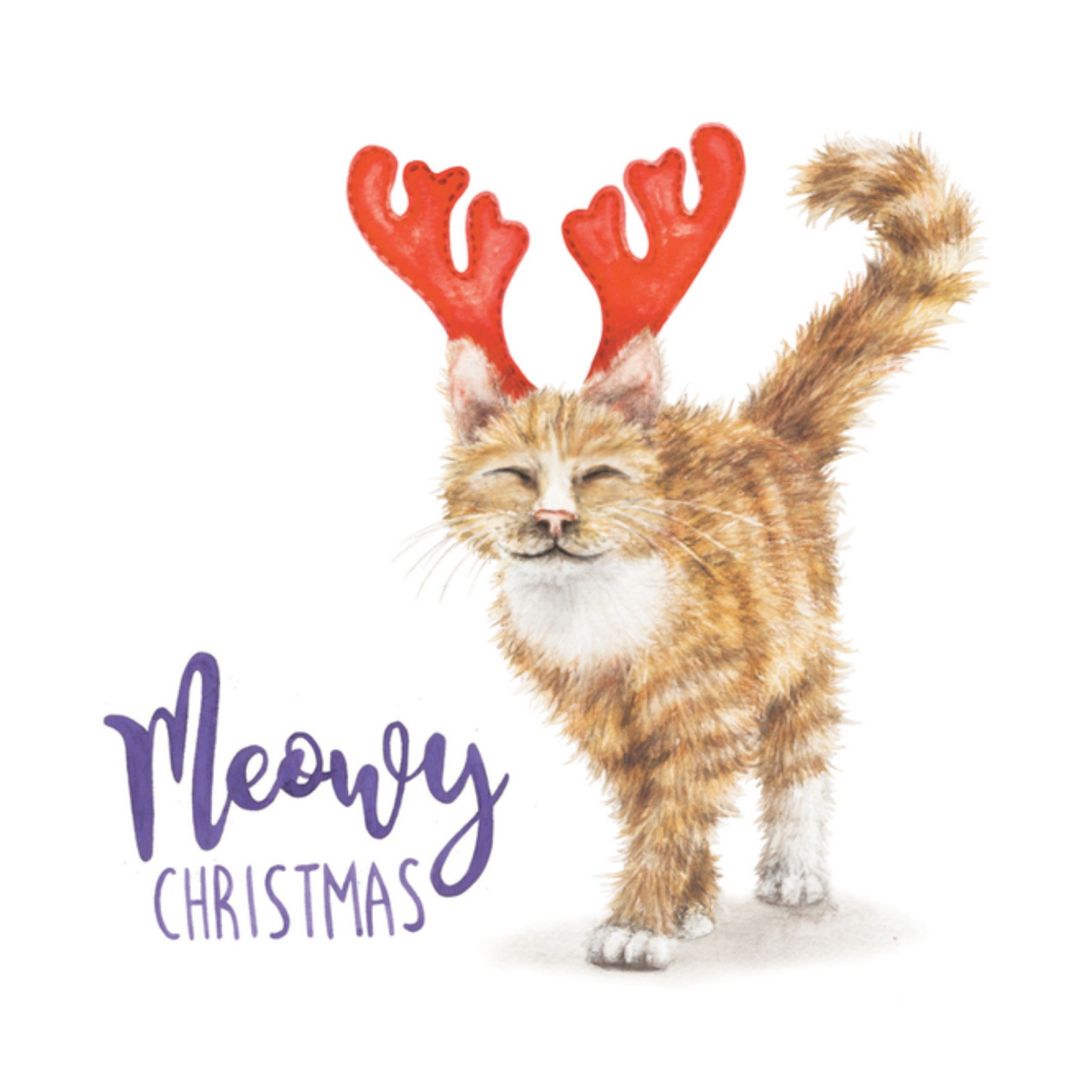 Kerstkaart Meowy christmas Citrus Bunn