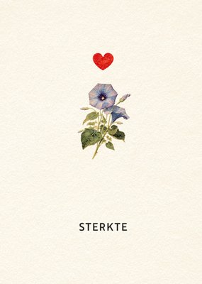 Bright Spot | Denken aan kaart | Sterkte