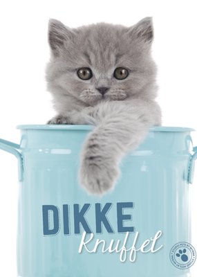 Studio Pets | Dierendag kaart | dikke knuffel