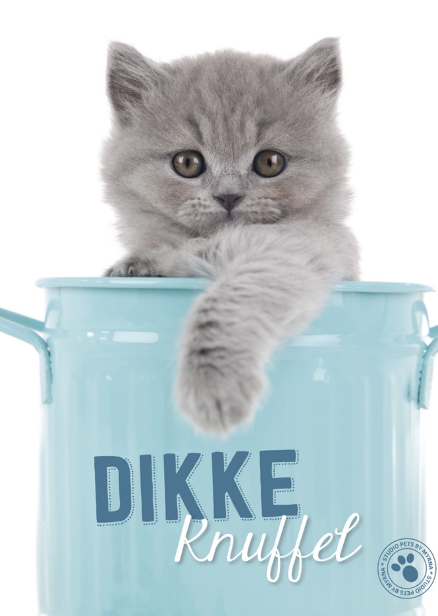 Studio Pets - Dierendag kaart - dikke knuffel