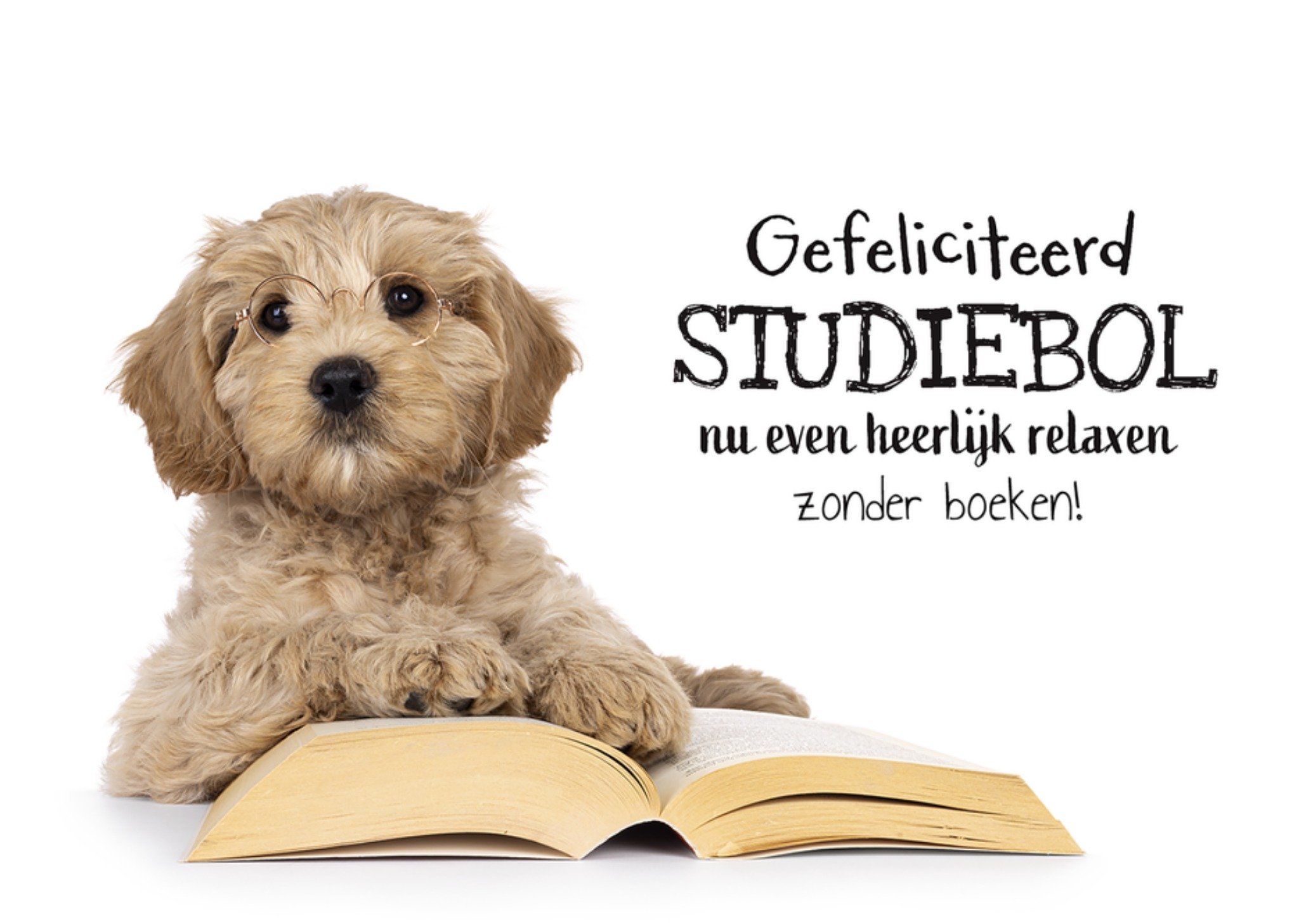Geslaagdkaart Relaxen zonder boeken Puppy met boek Catchy Images