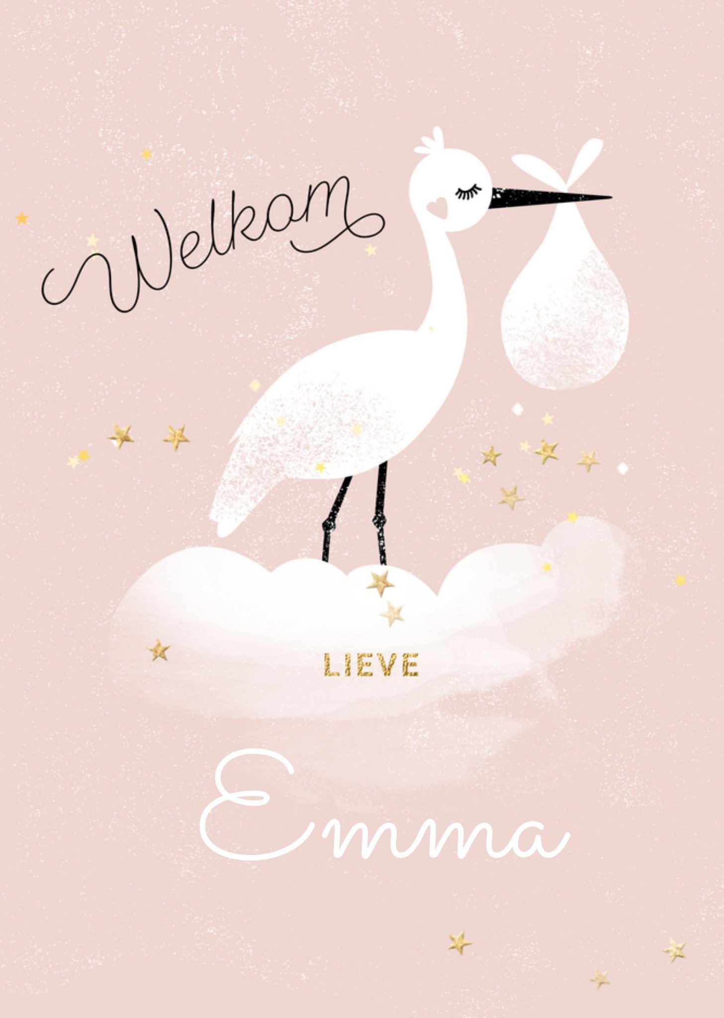 Geboortekaart ooievaar Kaart Luckz