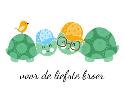 Voor De Liefste Broer Geïllustreerde Schildpadden Kaart