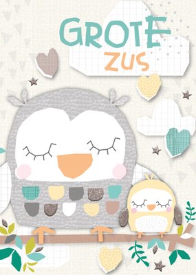 TMS | Geboortekaart | Zus | Uiltjes