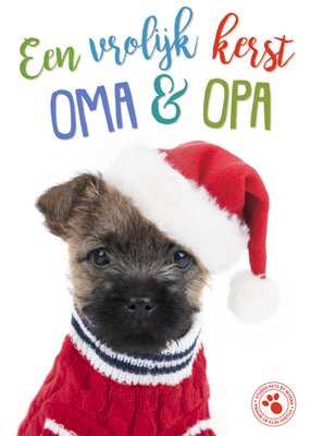 Studio Pets | Kerstkaart | Oma en Opa