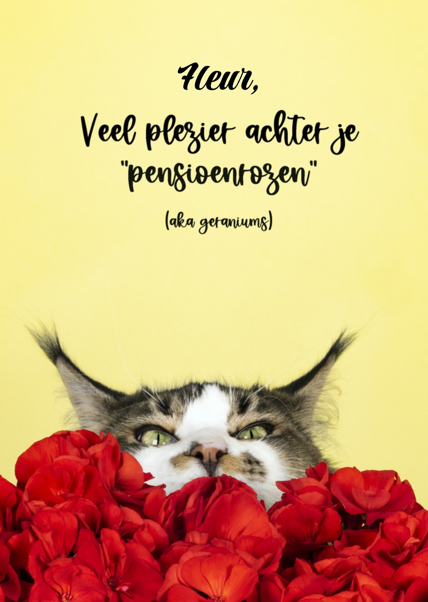 Pensioenkaart met naam Kaart Catchy Images