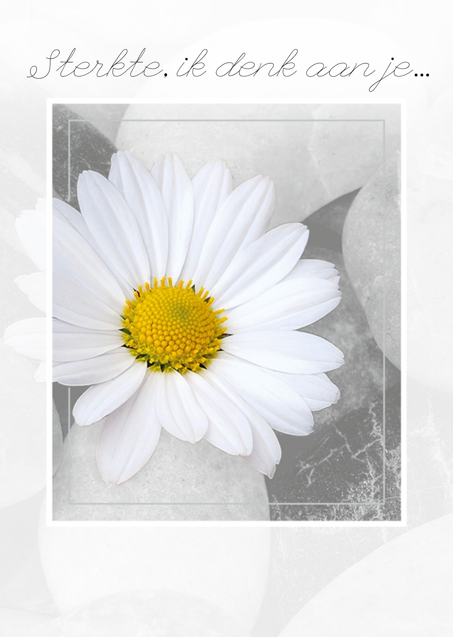 Sterkte kaart madeliefje Kaart TMS