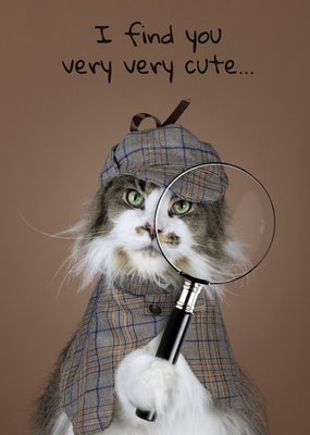 Ik Vind Je Heel Schattig Grappige Detective Kat Kaart