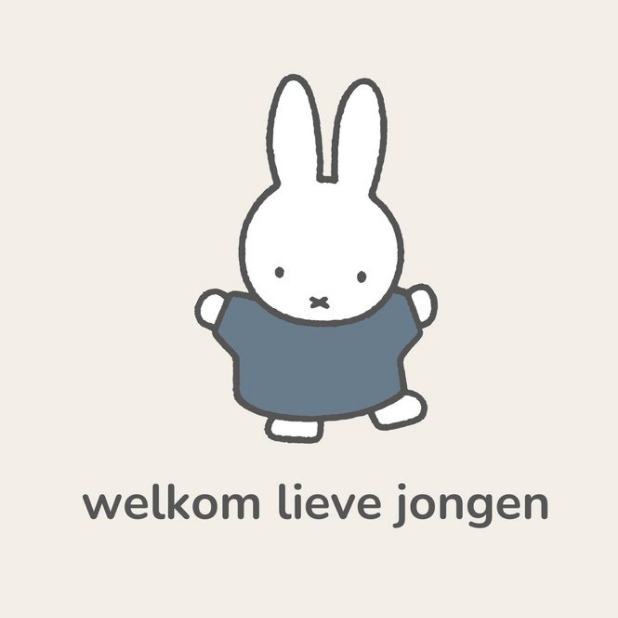 Greetz Geboortekaart Welkom lieve jongen Vierkante Kaart Nijntje