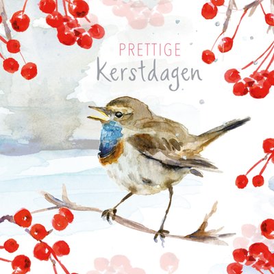 Michelle Dujardin | Kerstkaart | Vogel | Prettige Kerstdagen