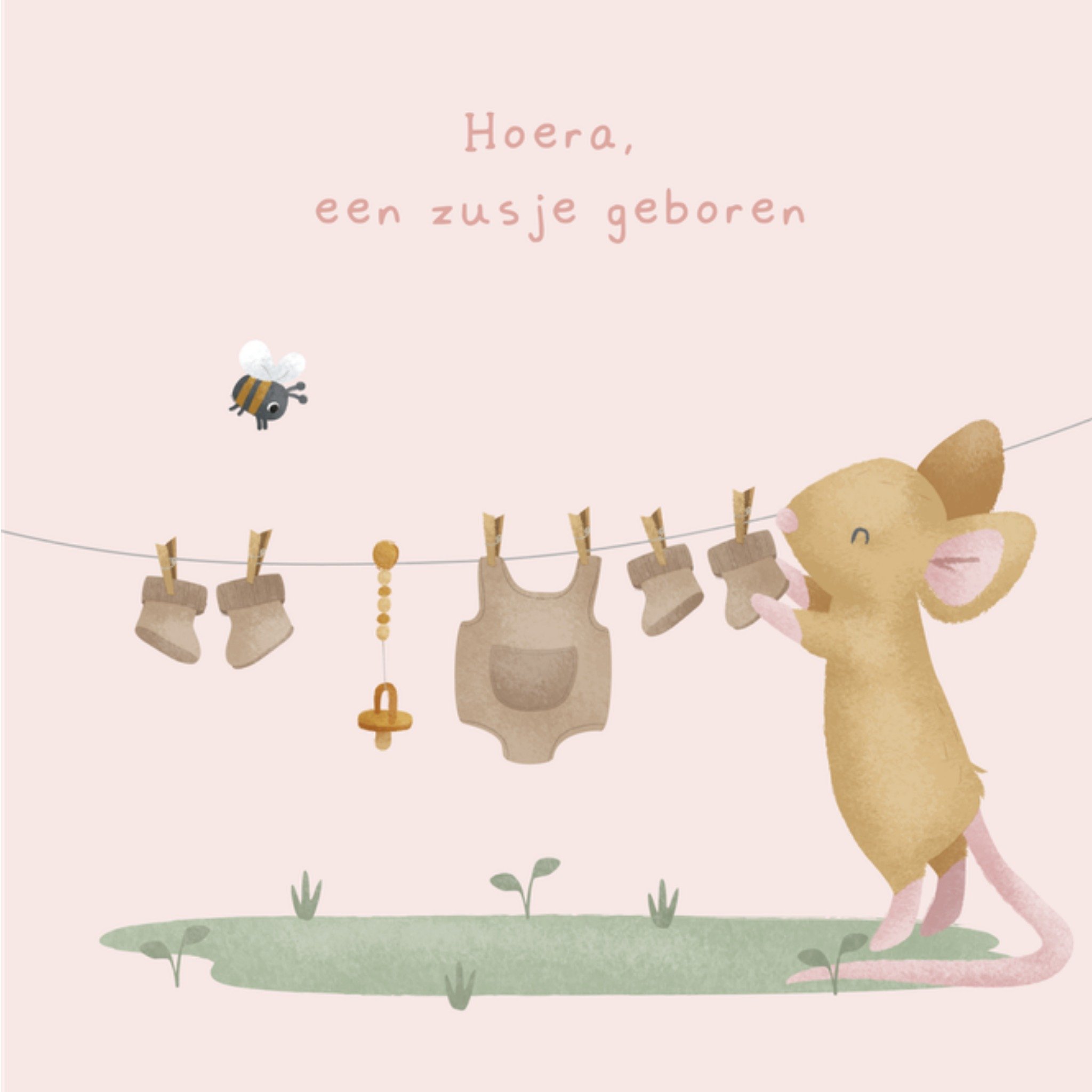 Geboortekaart Zusje Vierkante Kaart Little Dutch