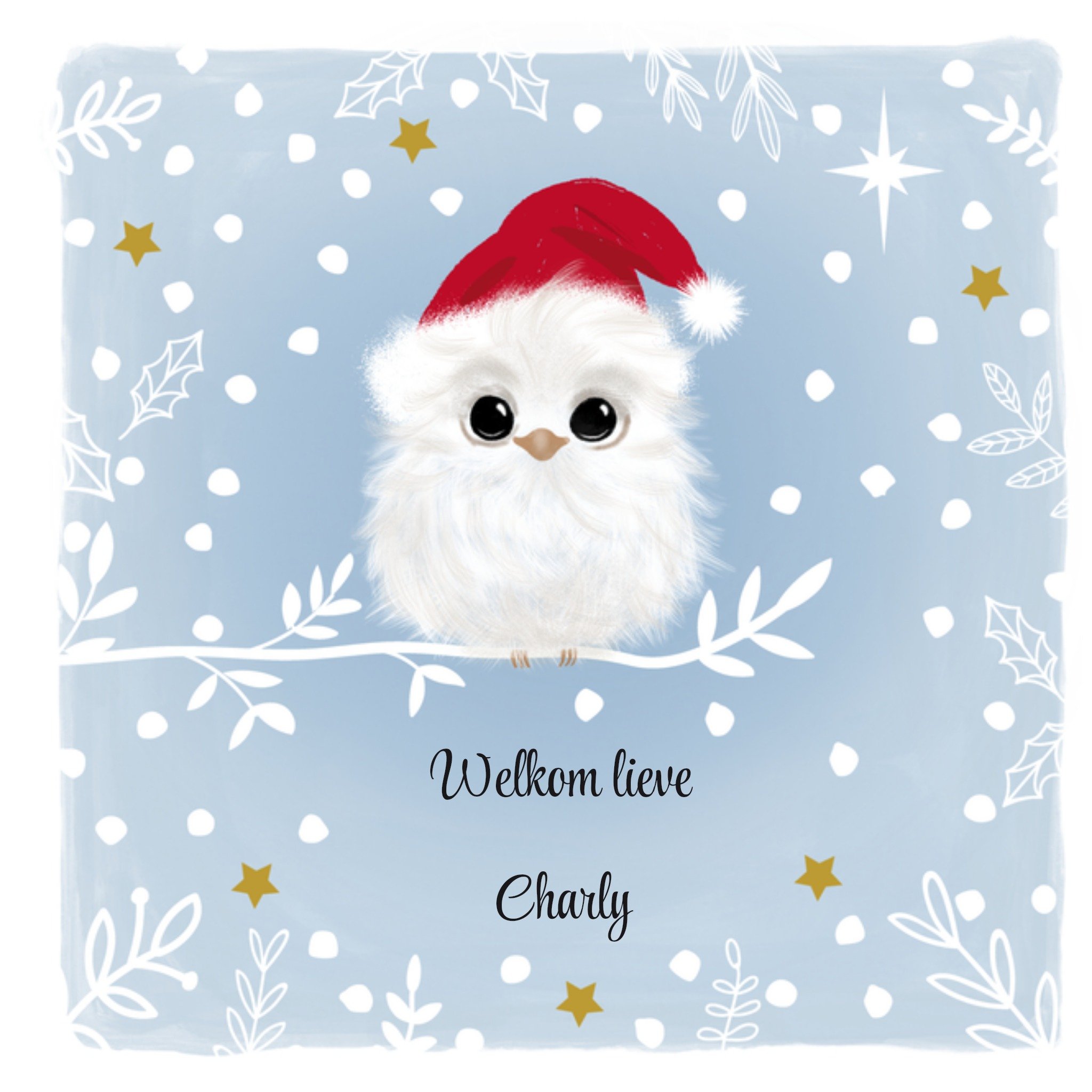 Kerstkaart geboortekaart met naam Tsjip