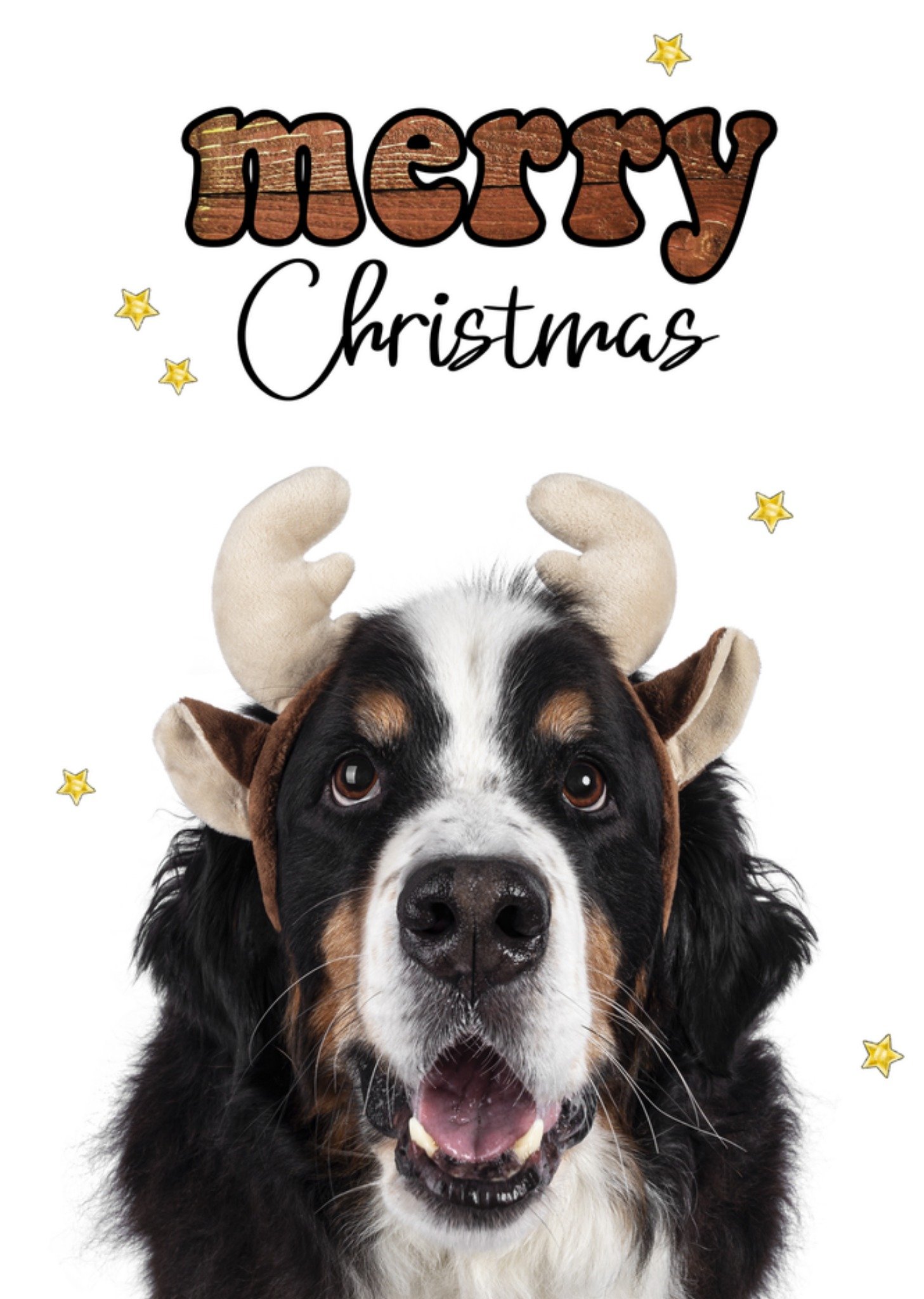 Catchy Images Kerstkaart Hond Merry Christmas Standard Card