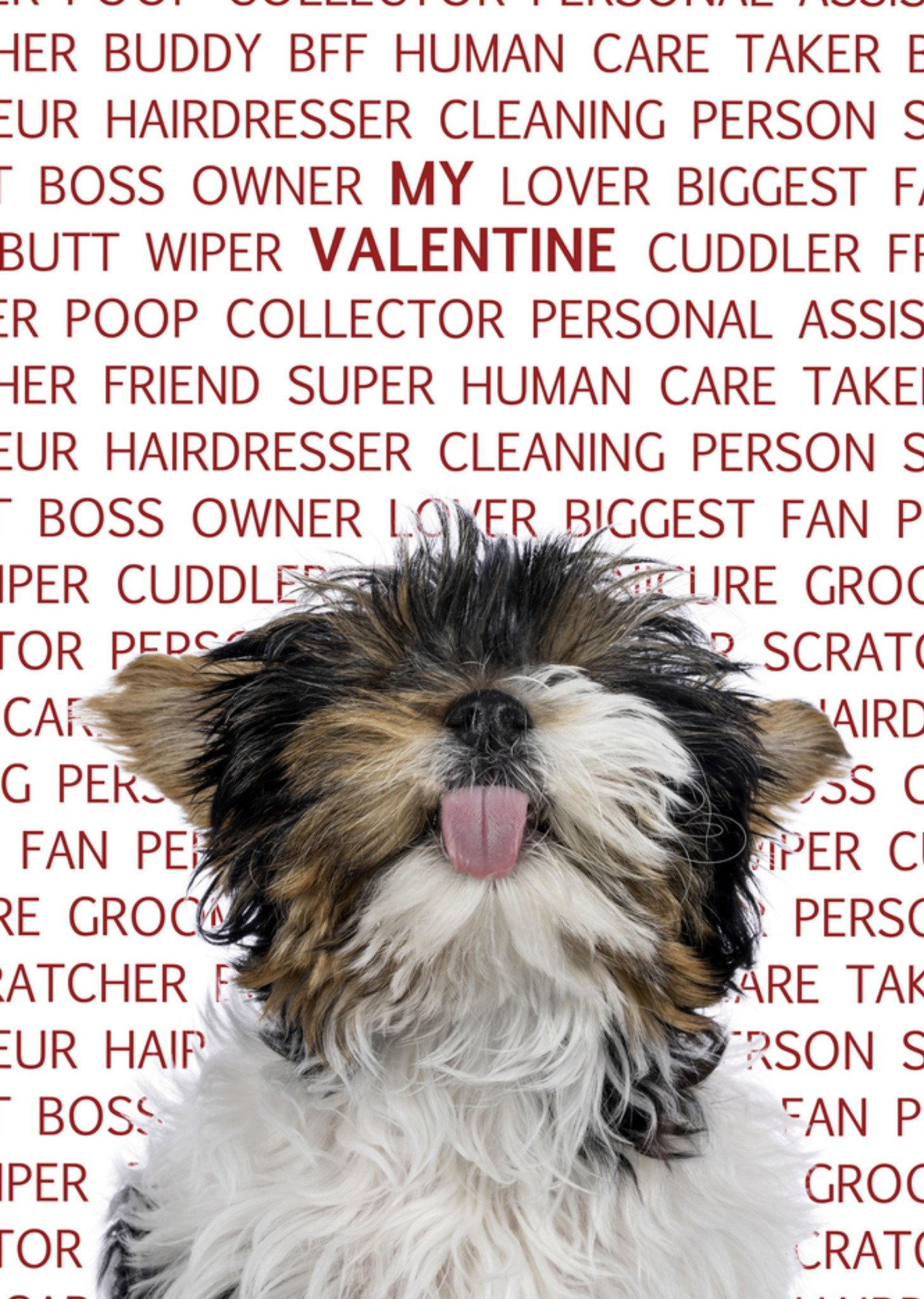 Valentijnskaart dieren vader Kaart Catchy Images