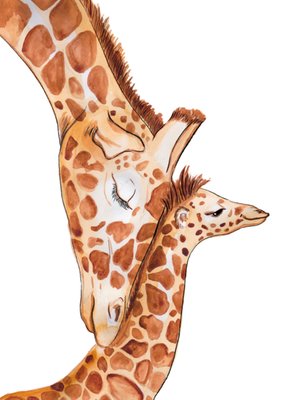 Marie Bodie | Geboortekaart | Giraffen