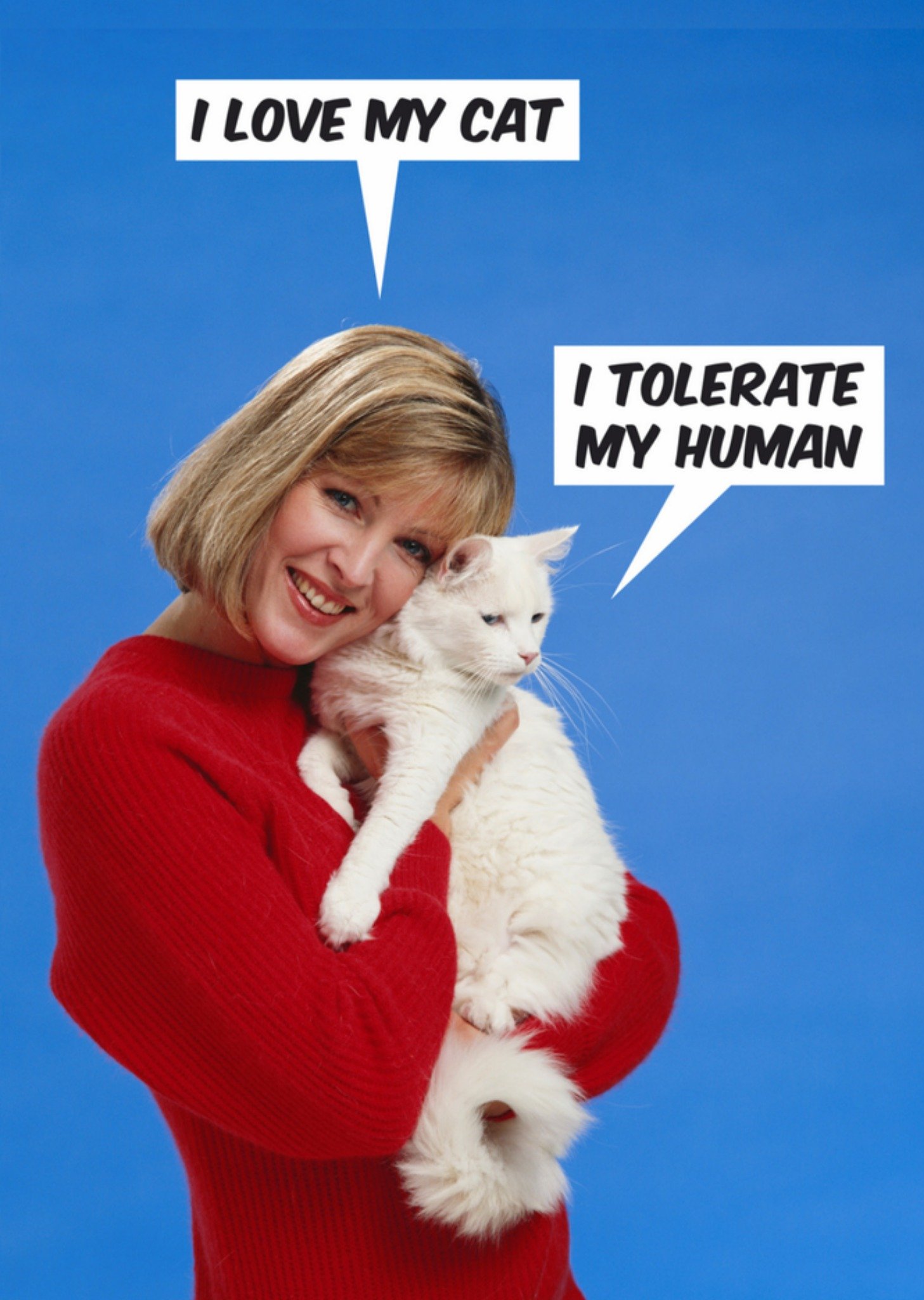 Verjaardagskaart grappig kat Kaart Dean Morris