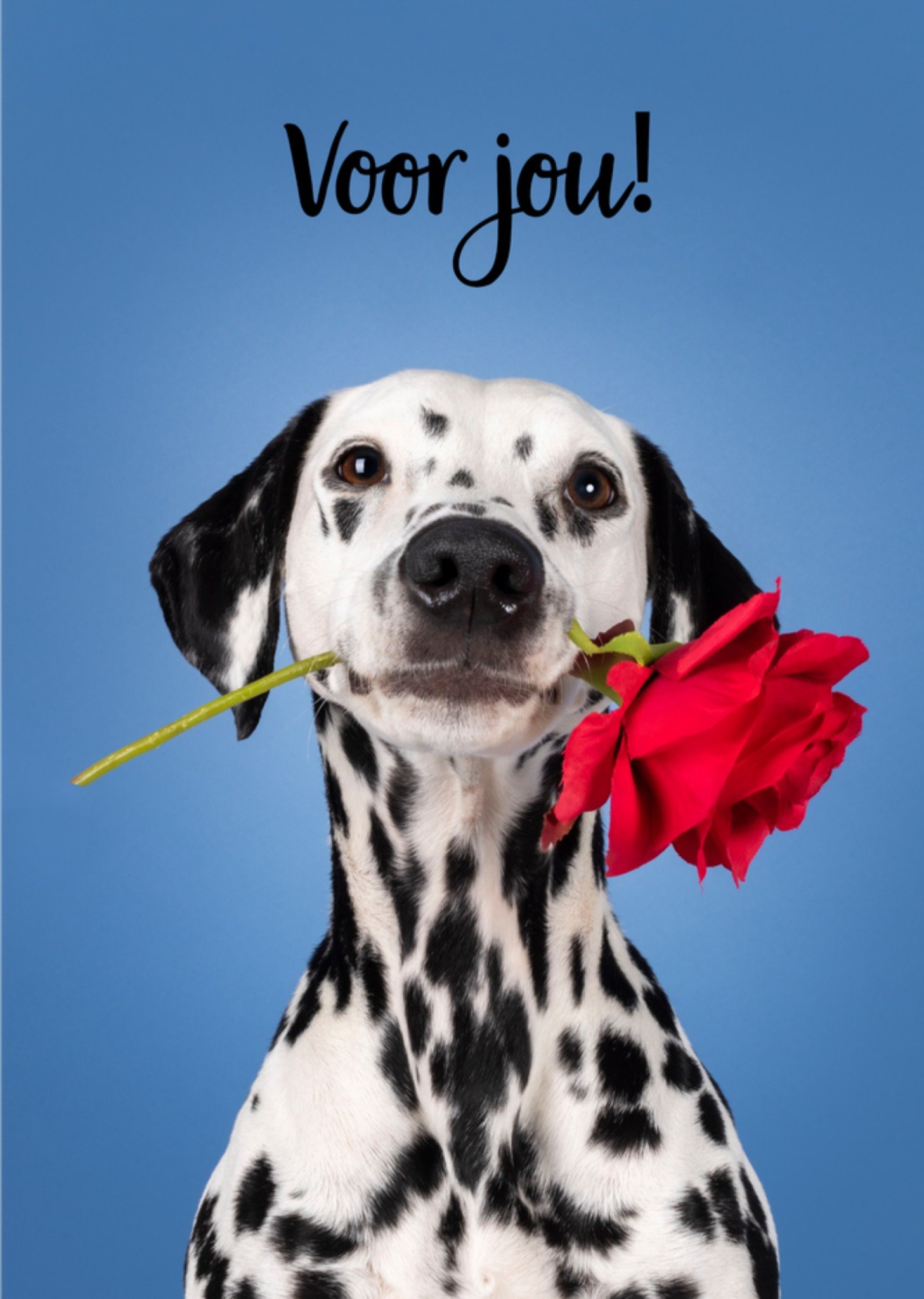 Moederdagkaart Voor jou! Kaart Catchy Images