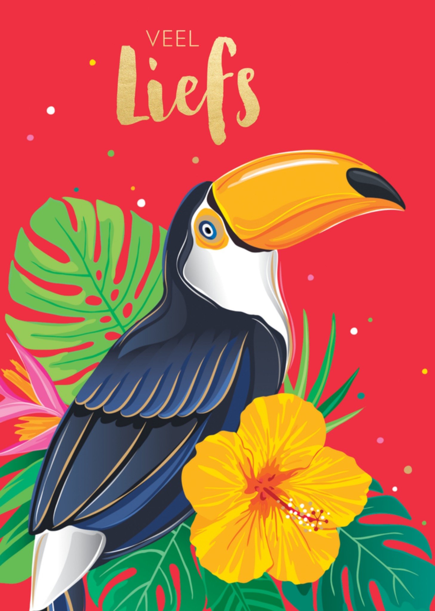 Zomaar Vrouw Toekan Kaart TMS