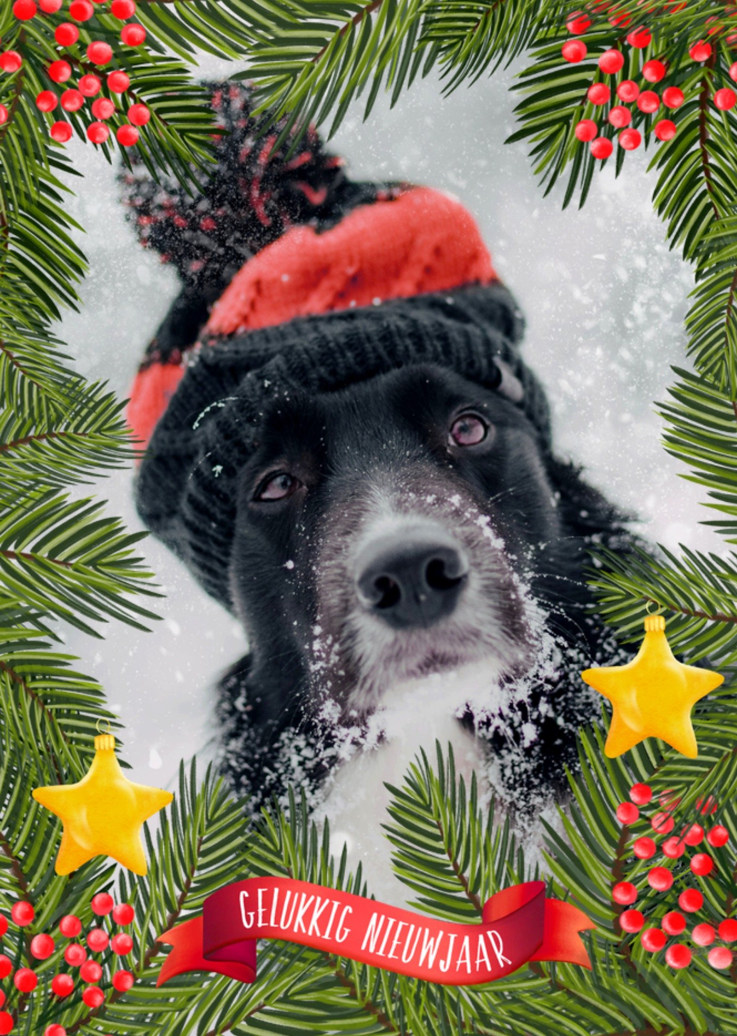 Fishuals Patricia Hooning Nieuwjaarskaart Gelukkig Nieuwjaar Aanpasbare Foto Standard Card