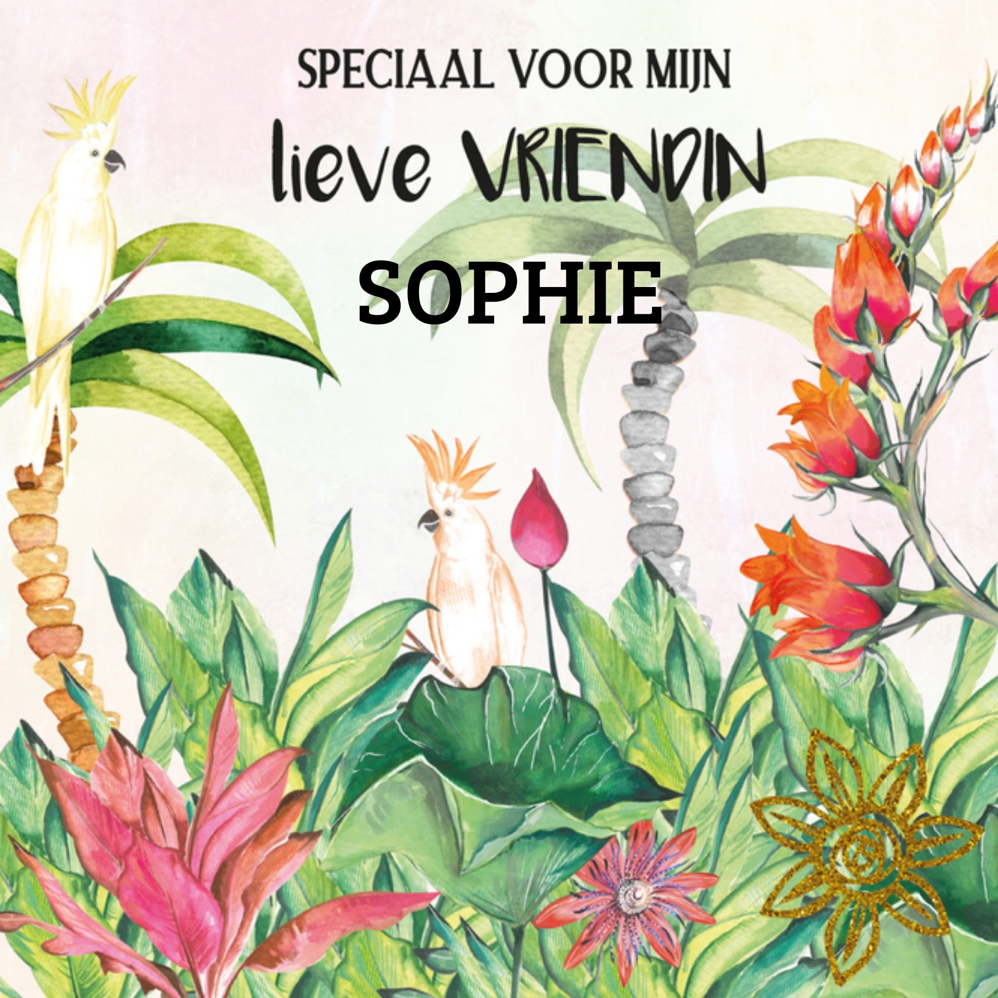 Verjaardagskaart Lieve vriendin Vierkante Kaart Paperclip