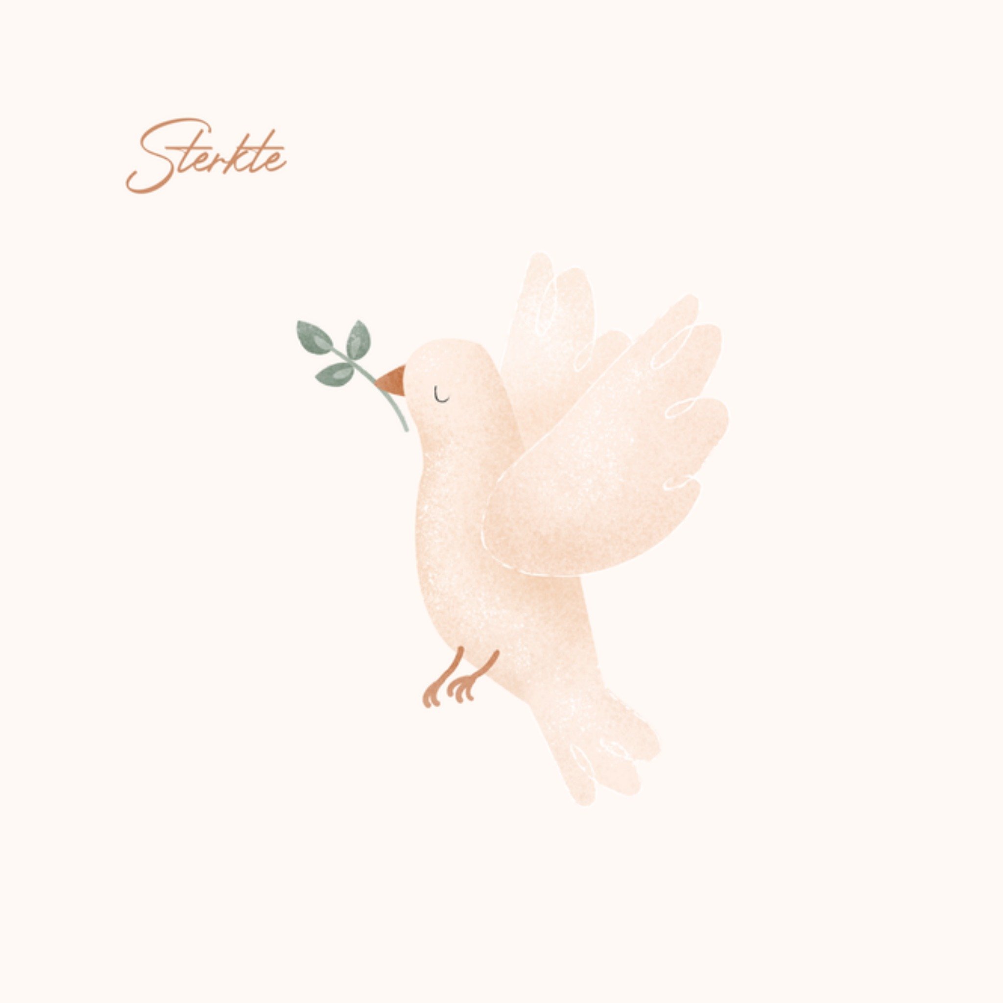 Condoleancekaart Sterkte Vierkante Kaart Little Dutch