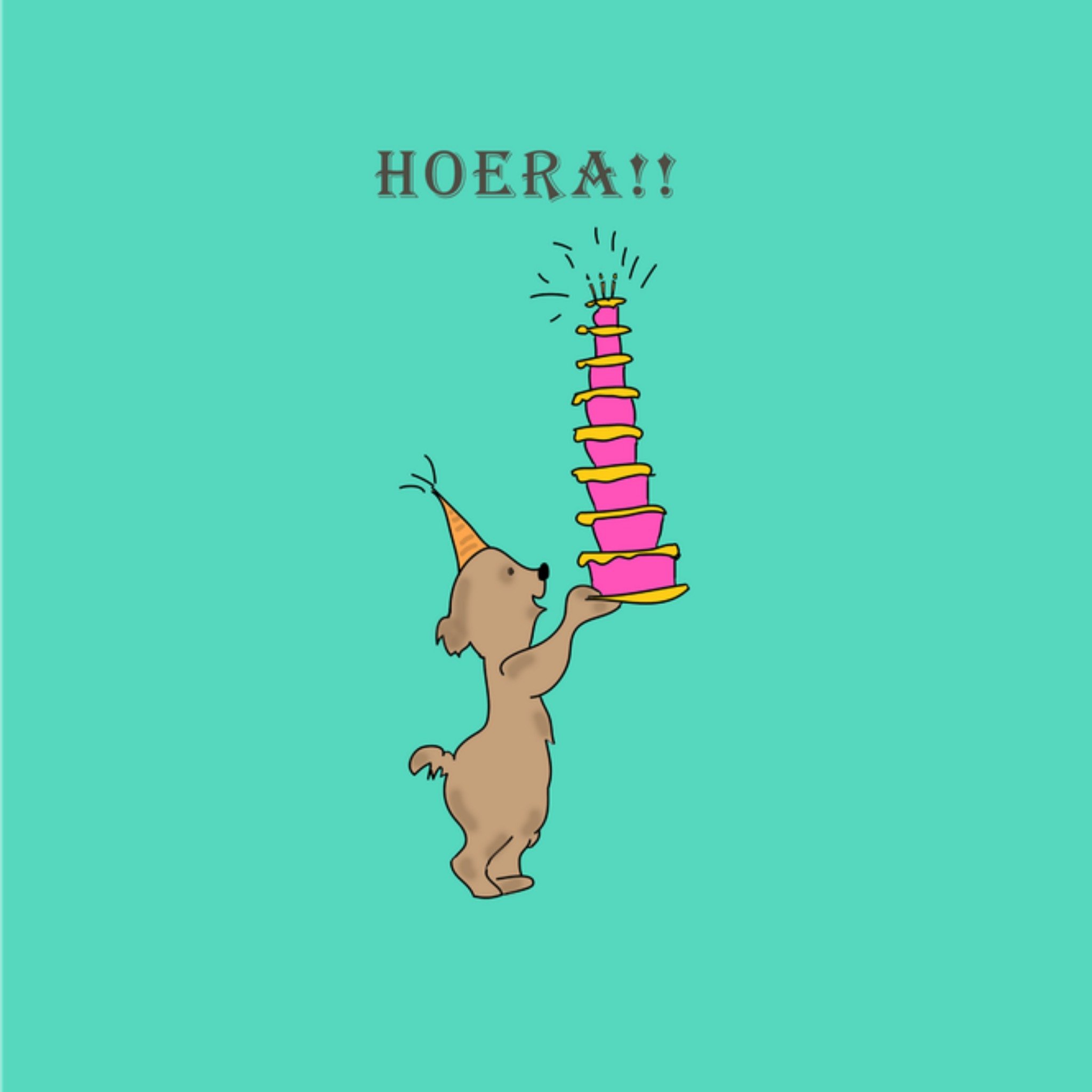 Verjaardagskaart Hoera!! Vierkante Kaart Studio Marloes