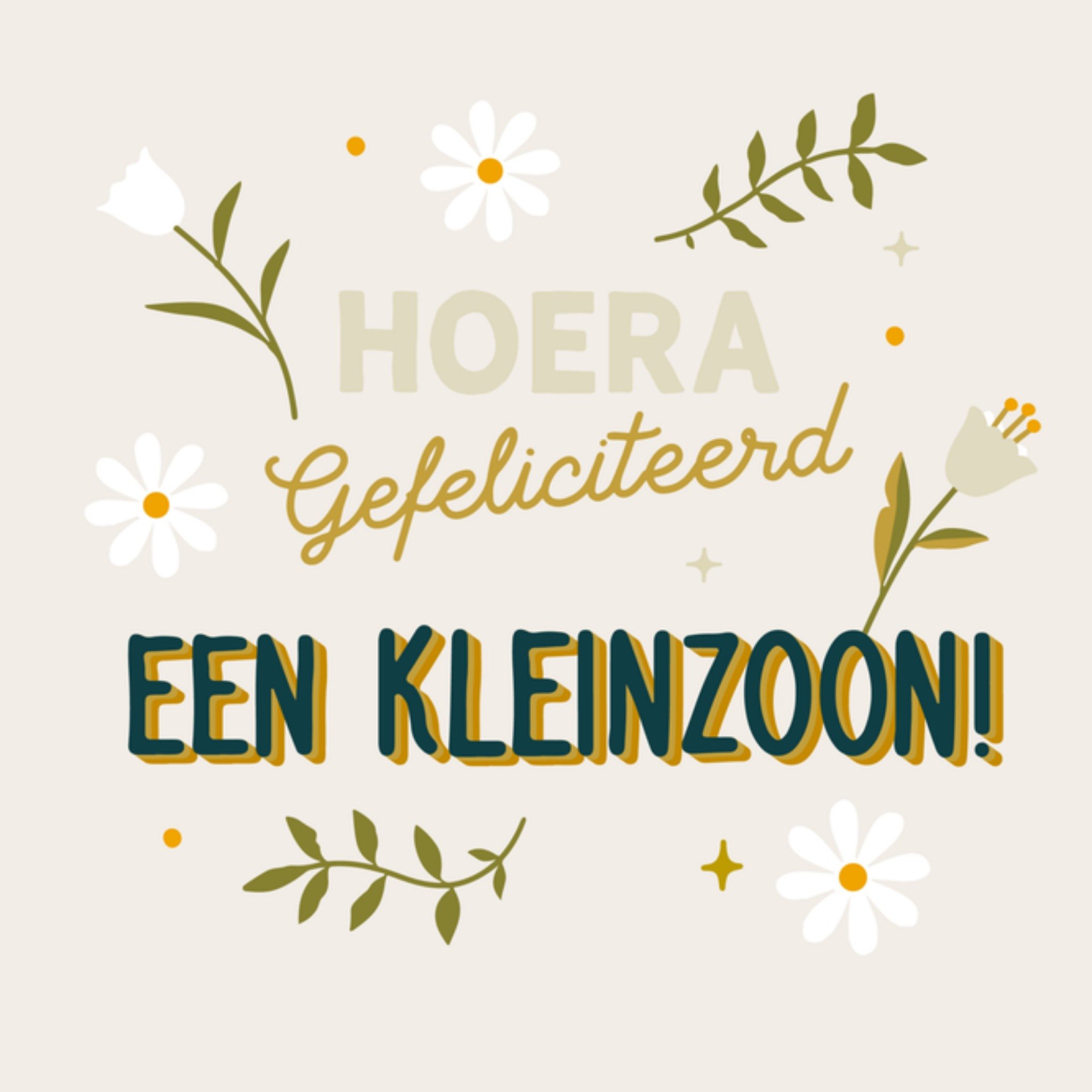 Greetz Geboortekaart kleinzoon Vierkant