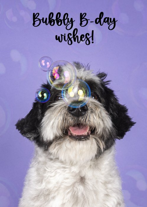 Catchy Images | Verjaardagskaart | hondje | bubbels