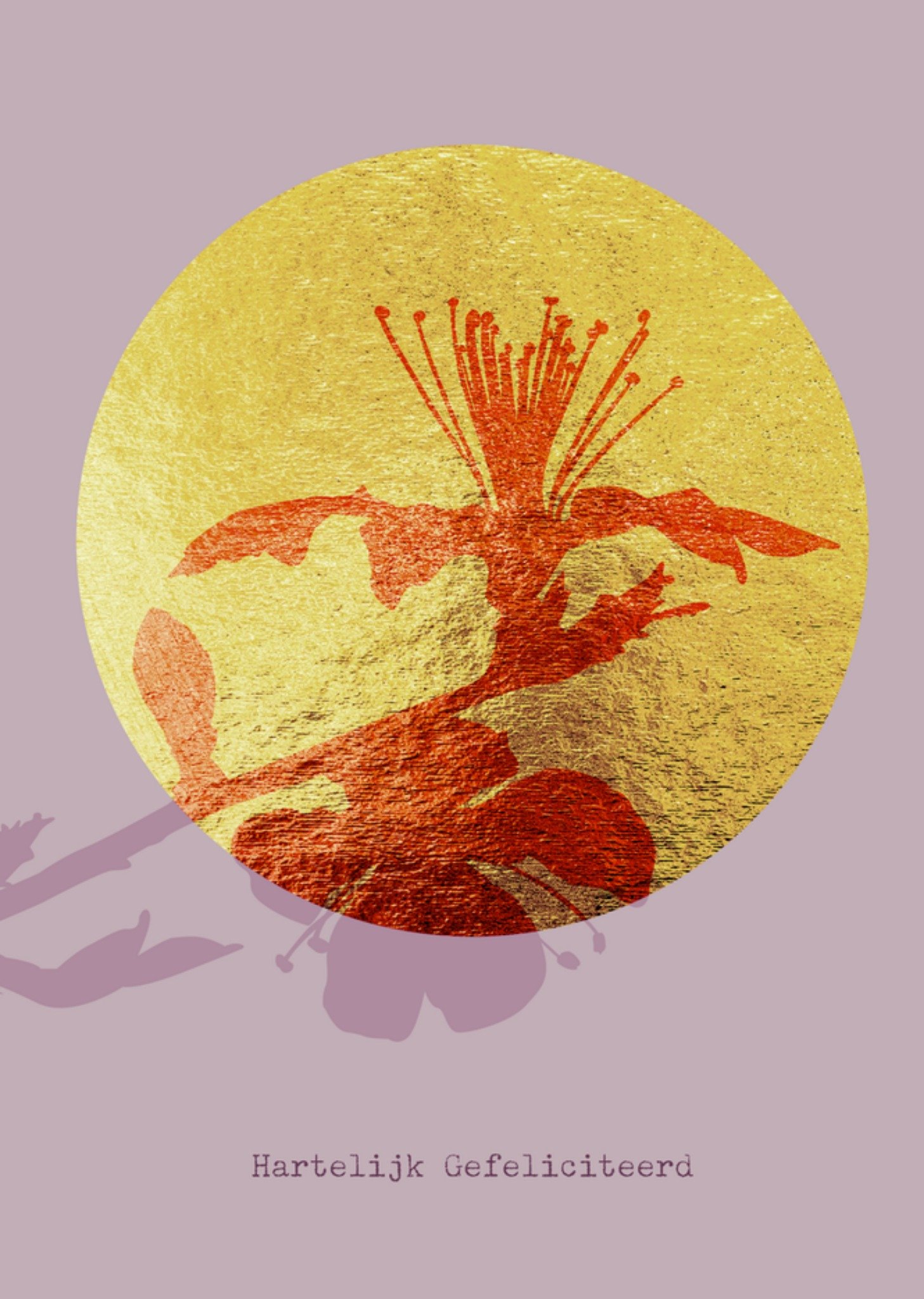 Verjaardagskaart Bloem Kaart Bright Spot