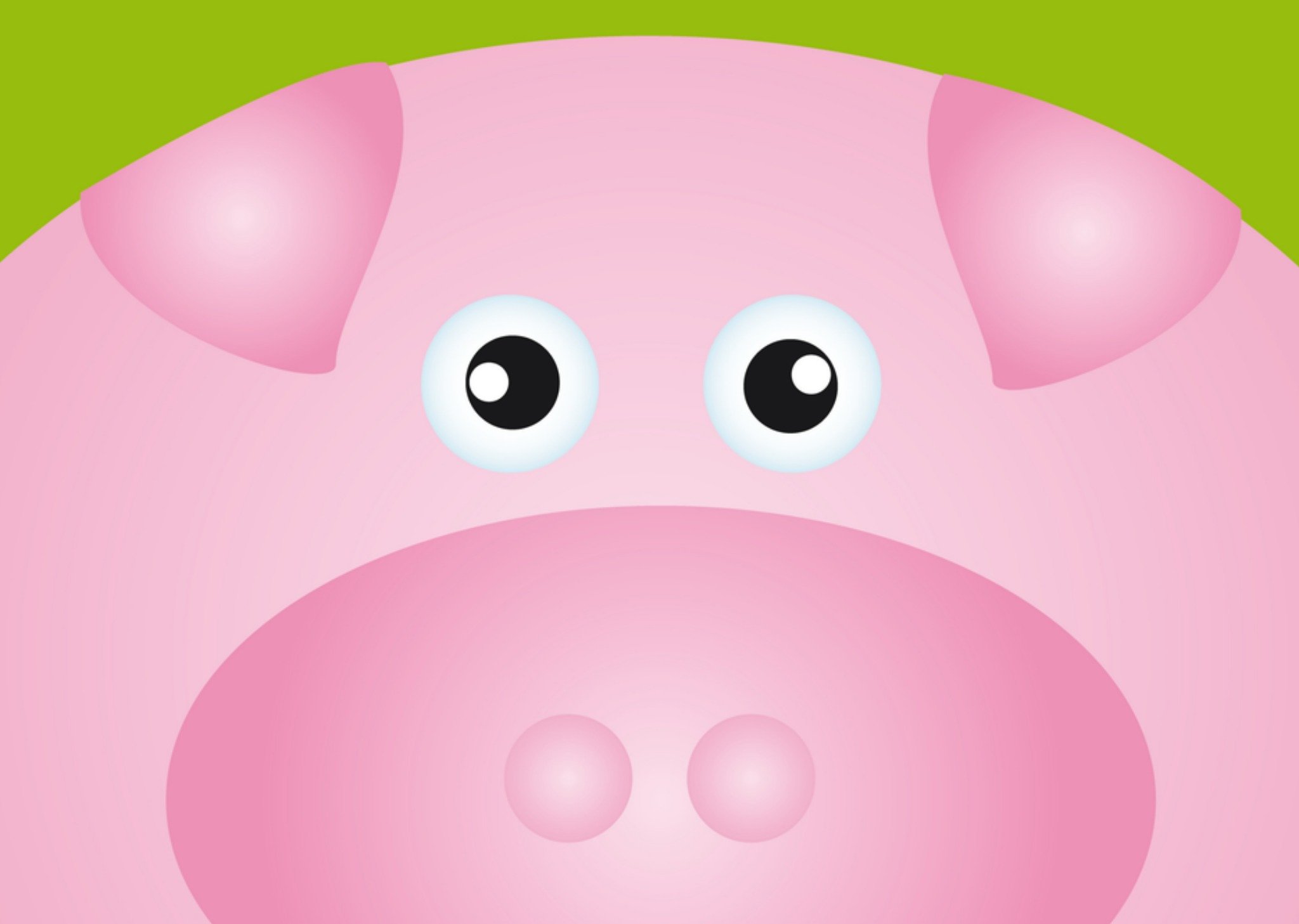 Varken in close up Kaart Greetz