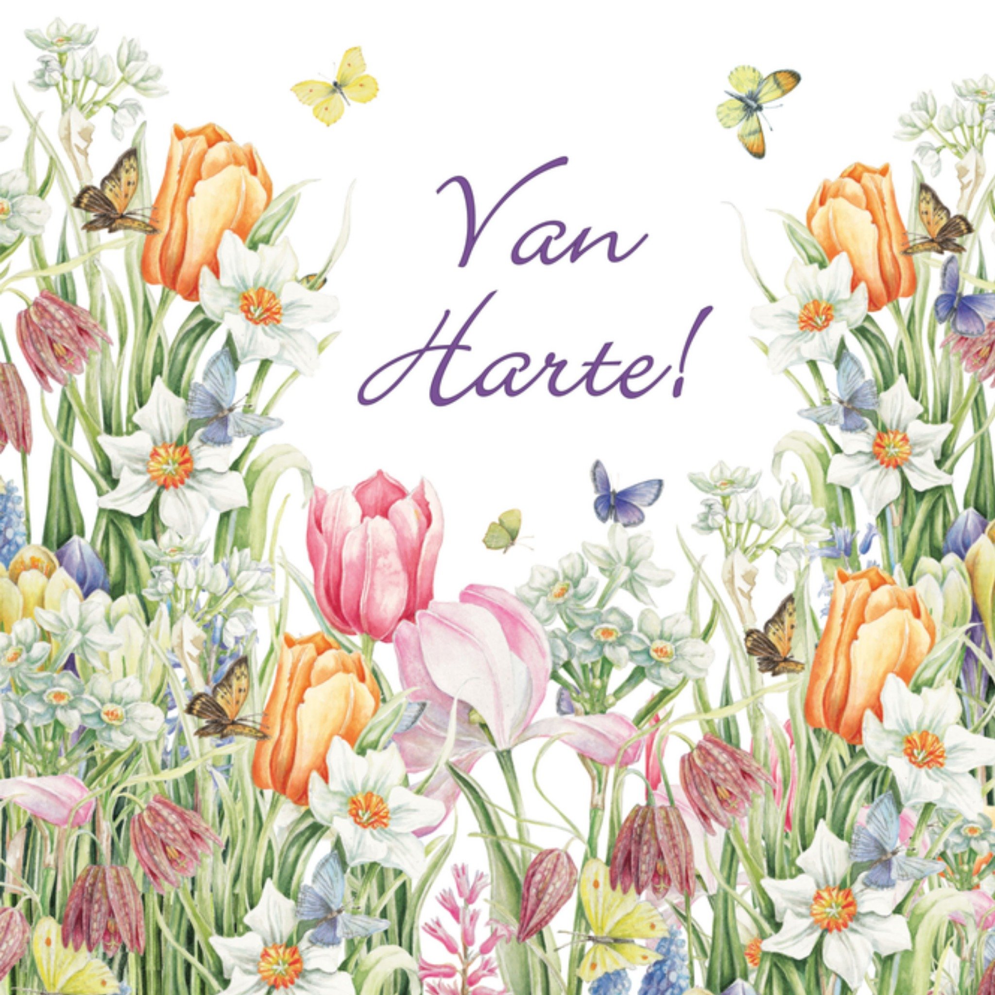 Tulpen voor de jarige Vierkante Kaart Janneke Brinkman