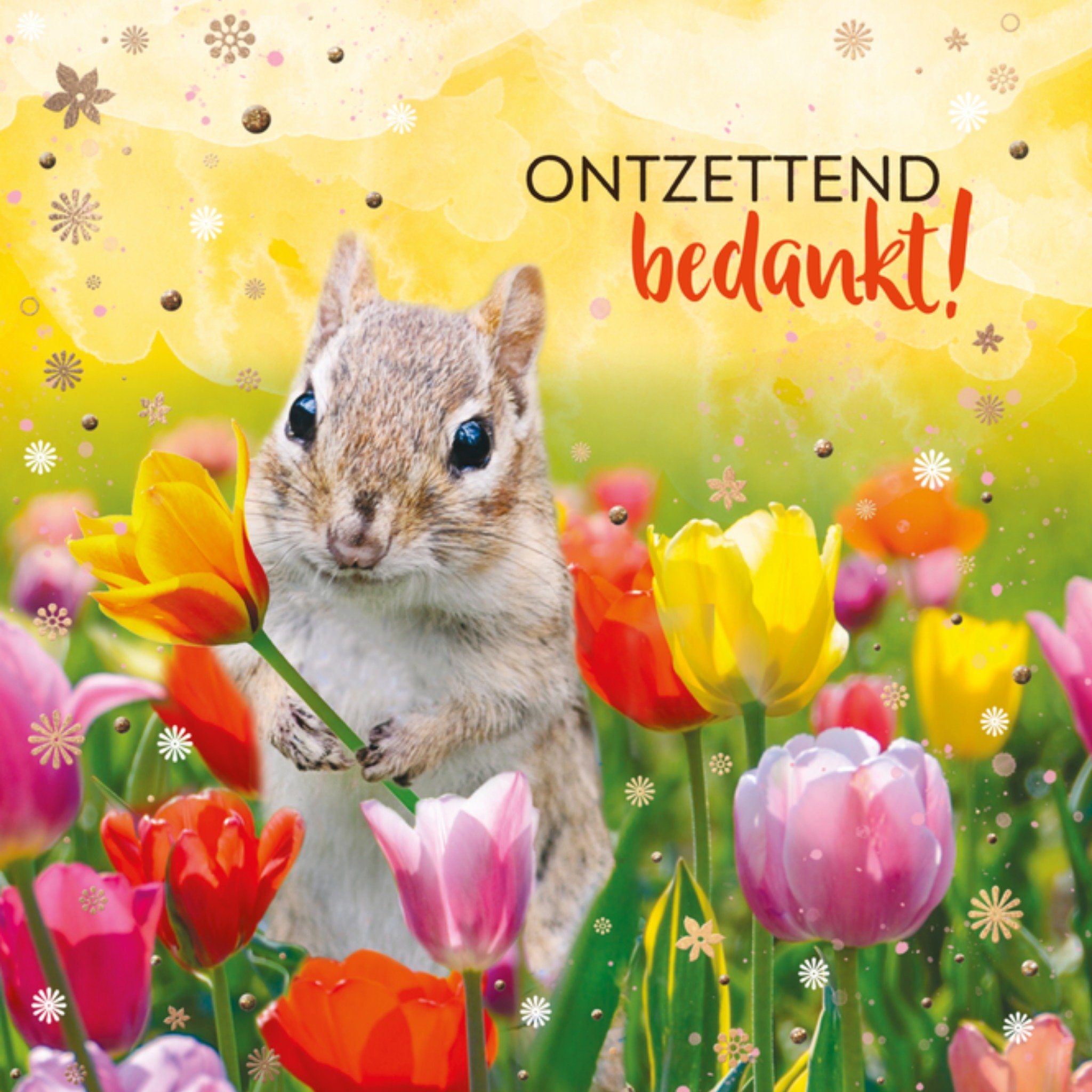 Bedankkaart eekhoorn tulpen Vierkante Kaart TMS