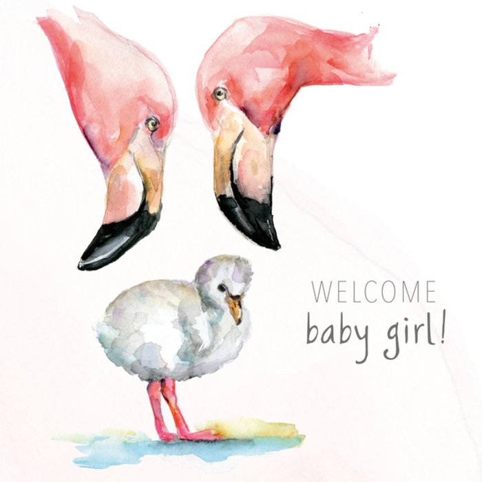 Michelle Dujardin | Geboortekaart | Flamingo