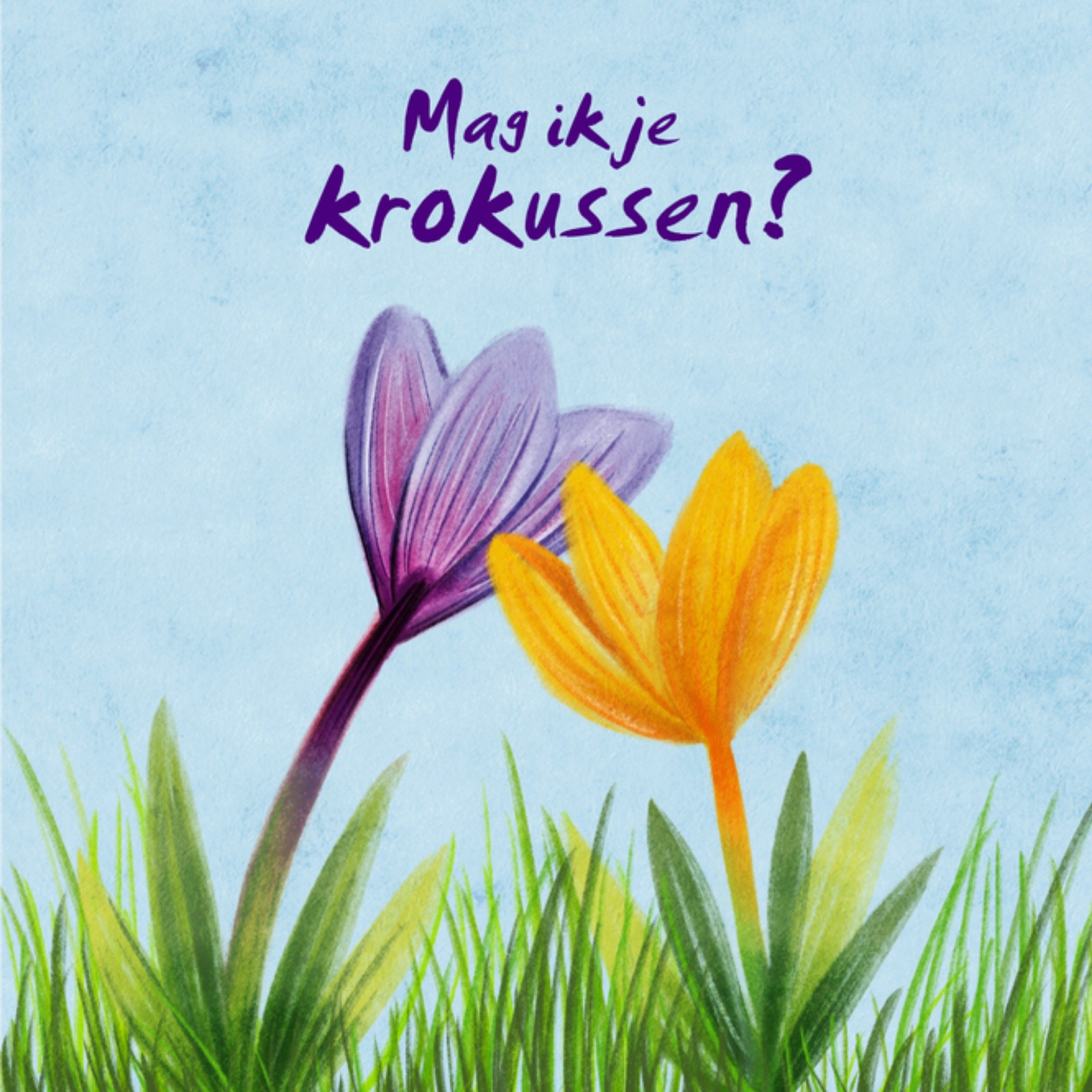 Greetz Valentijnskaart Krokussen Vierkant