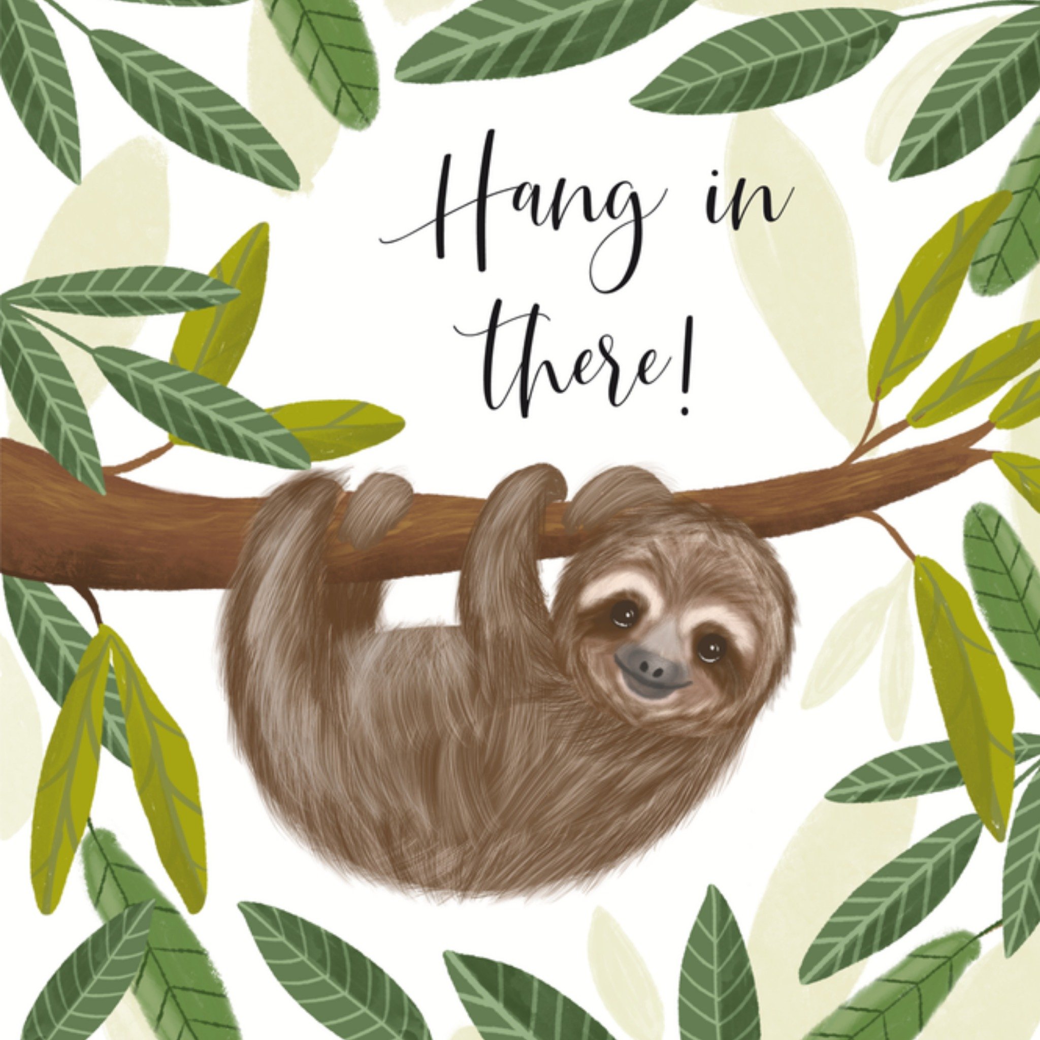 Succeskaart Hang in there! Vierkante Kaart Tsjip