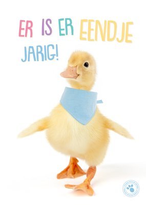 Studio Pets | Verjaardagskaart | Er is er eendje jarig