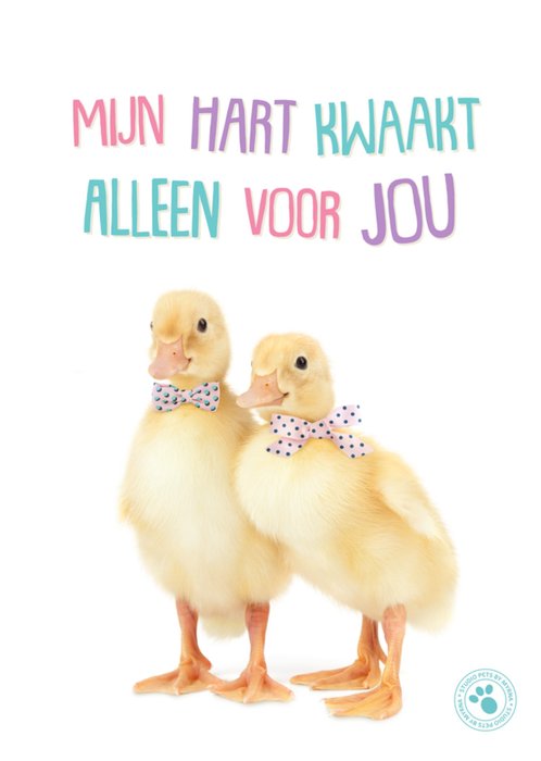 Studio Pets | Jubileum kaart | Mijn hart kwaakt alleen voor jou