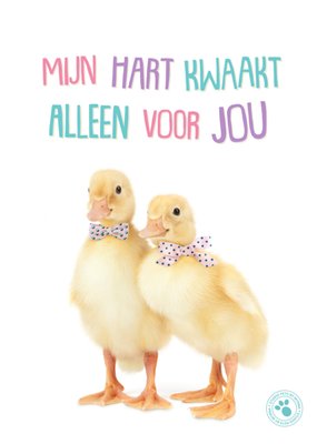 Studio Pets | Jubileum kaart | Mijn hart kwaakt alleen voor jou