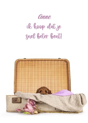 Catchy Images | Beterschapkaart | koffer | hondje