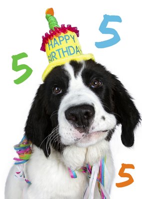 Hond Met Feesthoed 5e Verjaardag Kaart