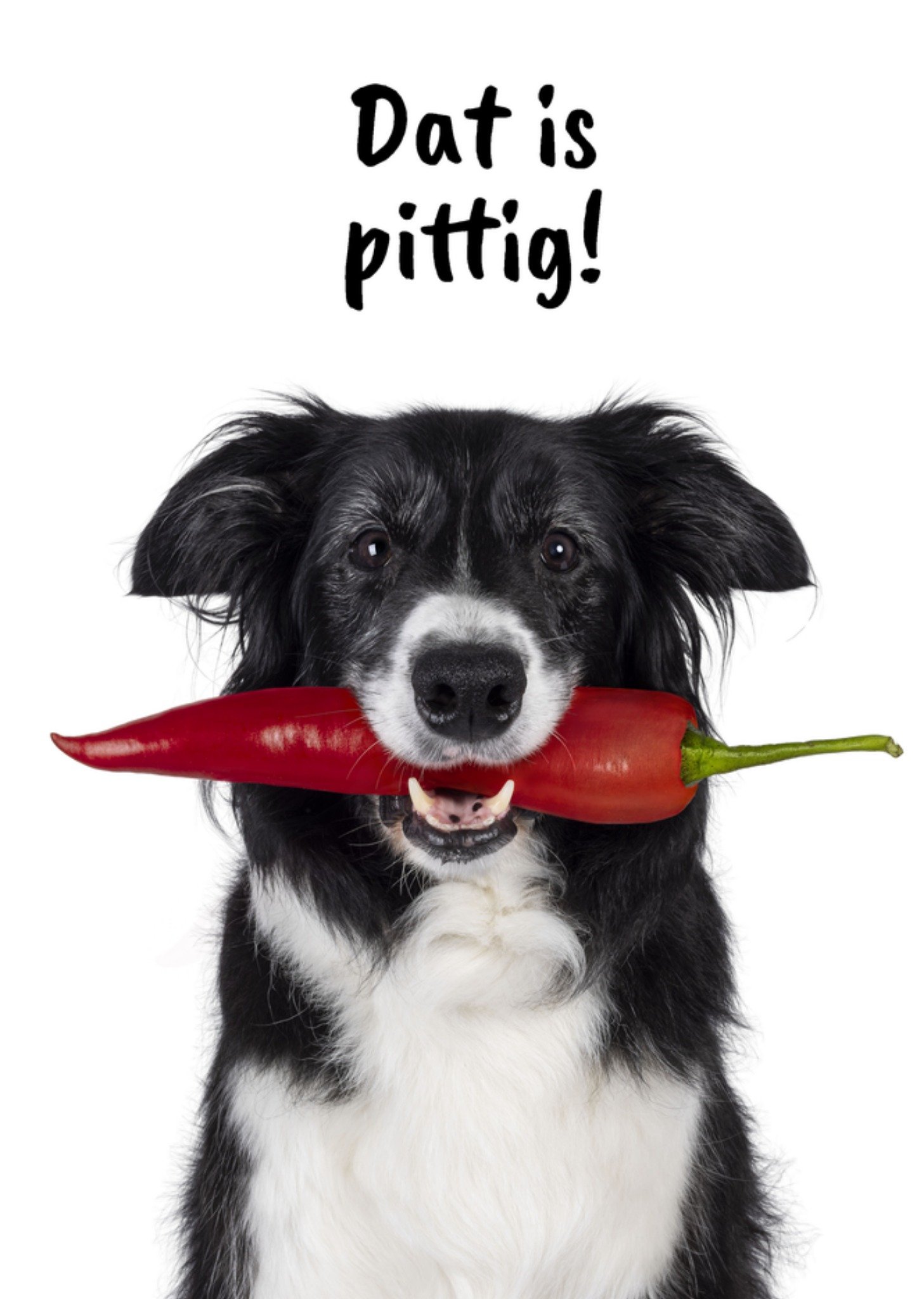 Denken aan kaart Dat is pittig Kaart Catchy Images