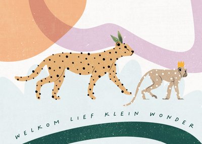 Melolelo | Geboortekaart | lief klein wonder