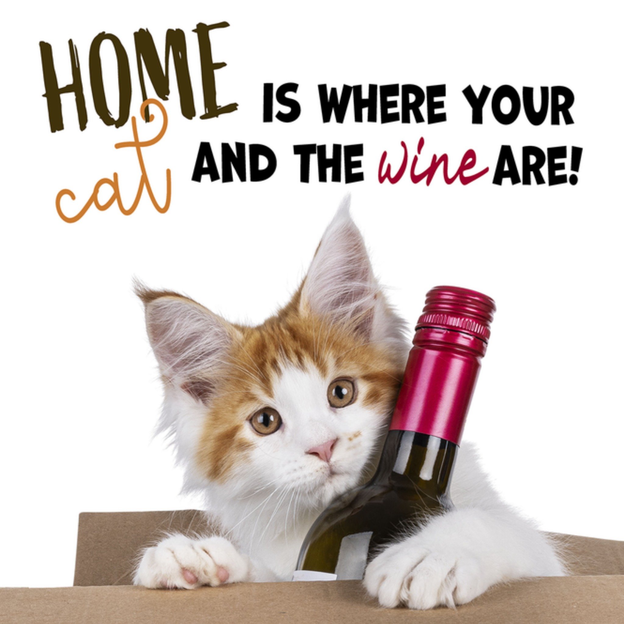 Nieuwe woning kaart Home is where your cat and the wine are Vierkante Kaart Catchy Images