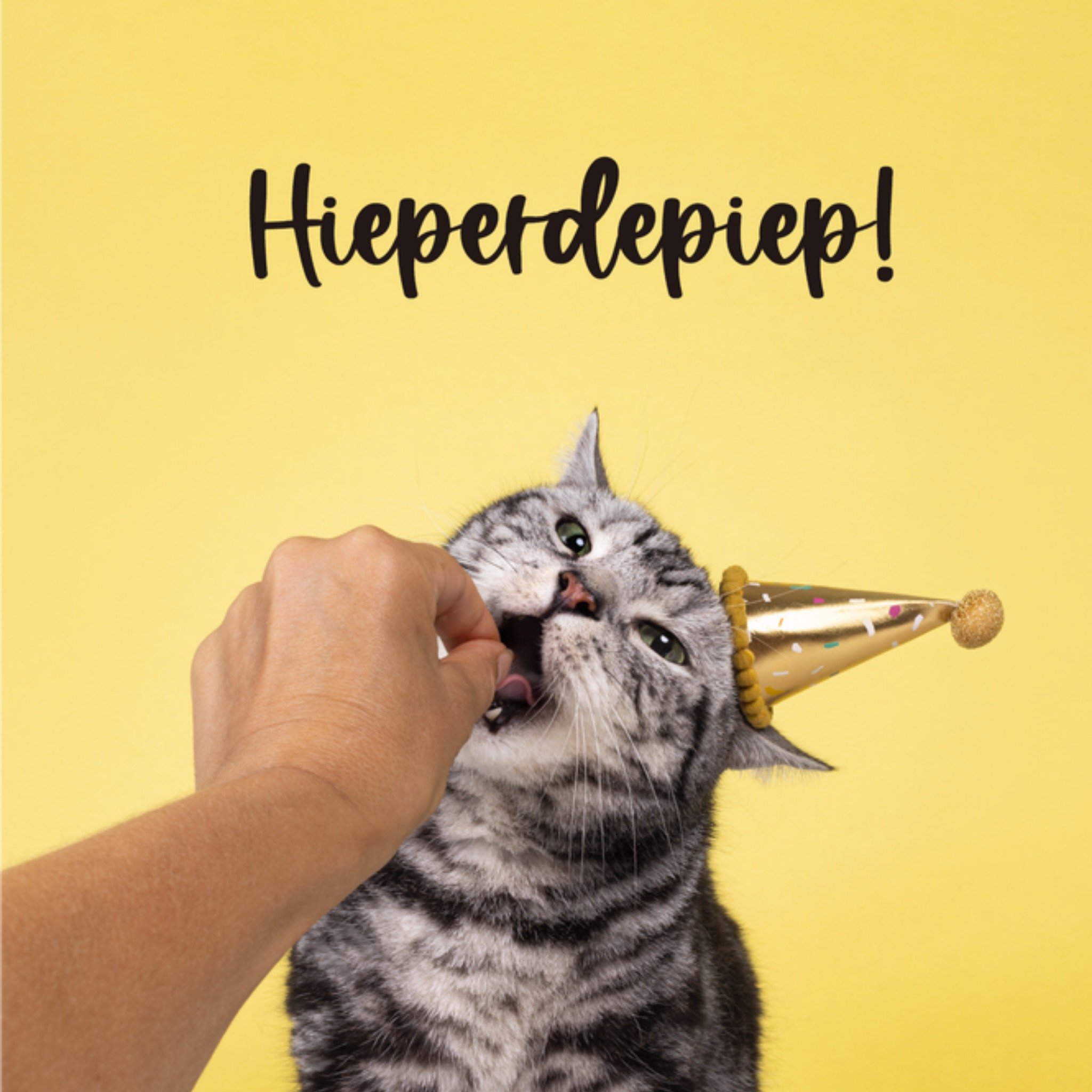 Verjaardagskaart Kat Vierkante Kaart Catchy Images