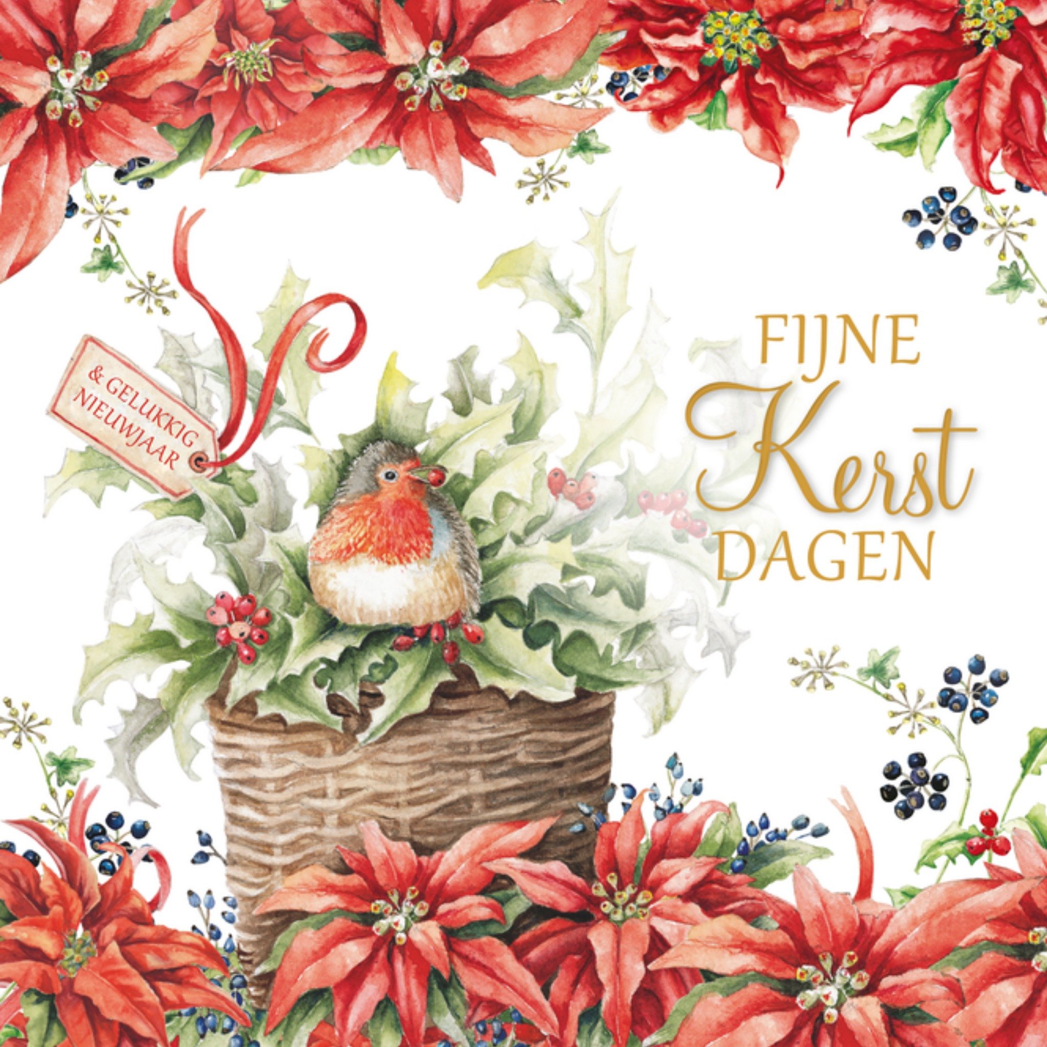 Kerstkaart Aquarel roodborstje Janneke Brinkman