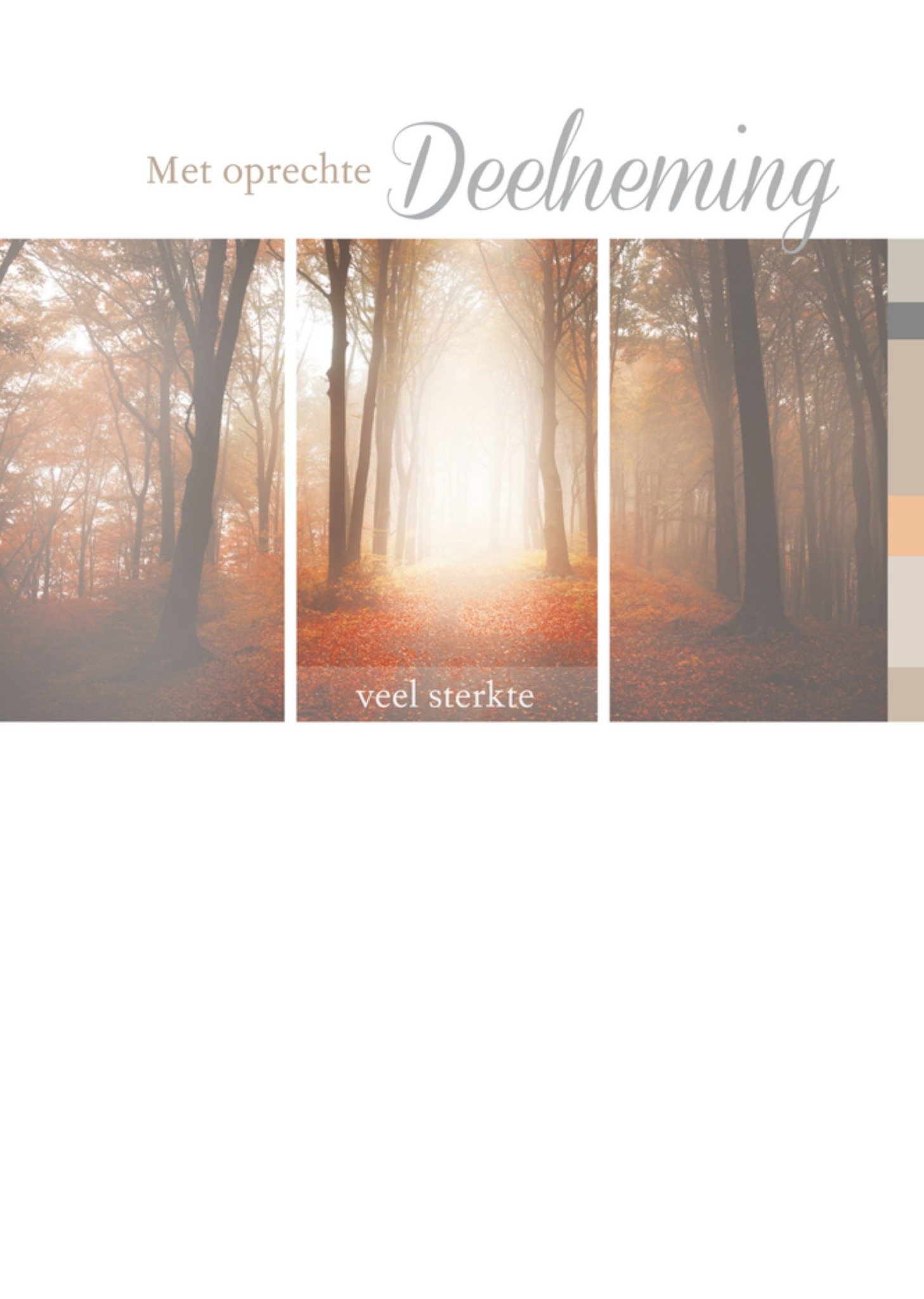 Condoleancekaart Bomen Kaart Paperclip