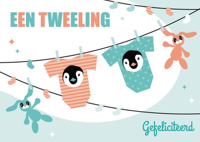 Paperclip | Geboortekaart | tweeling | Waslijn