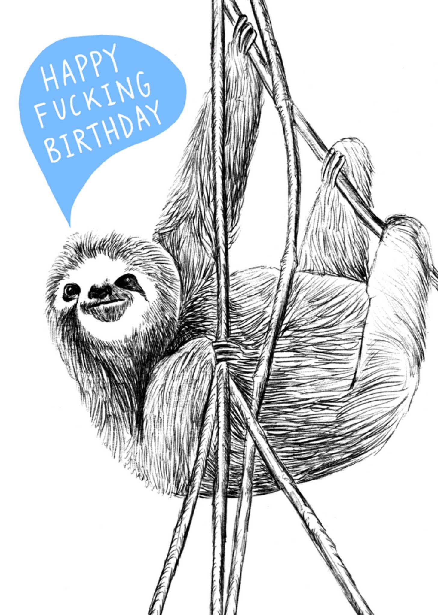 Verjaardagskaart luiaard Kaart Charly Clements