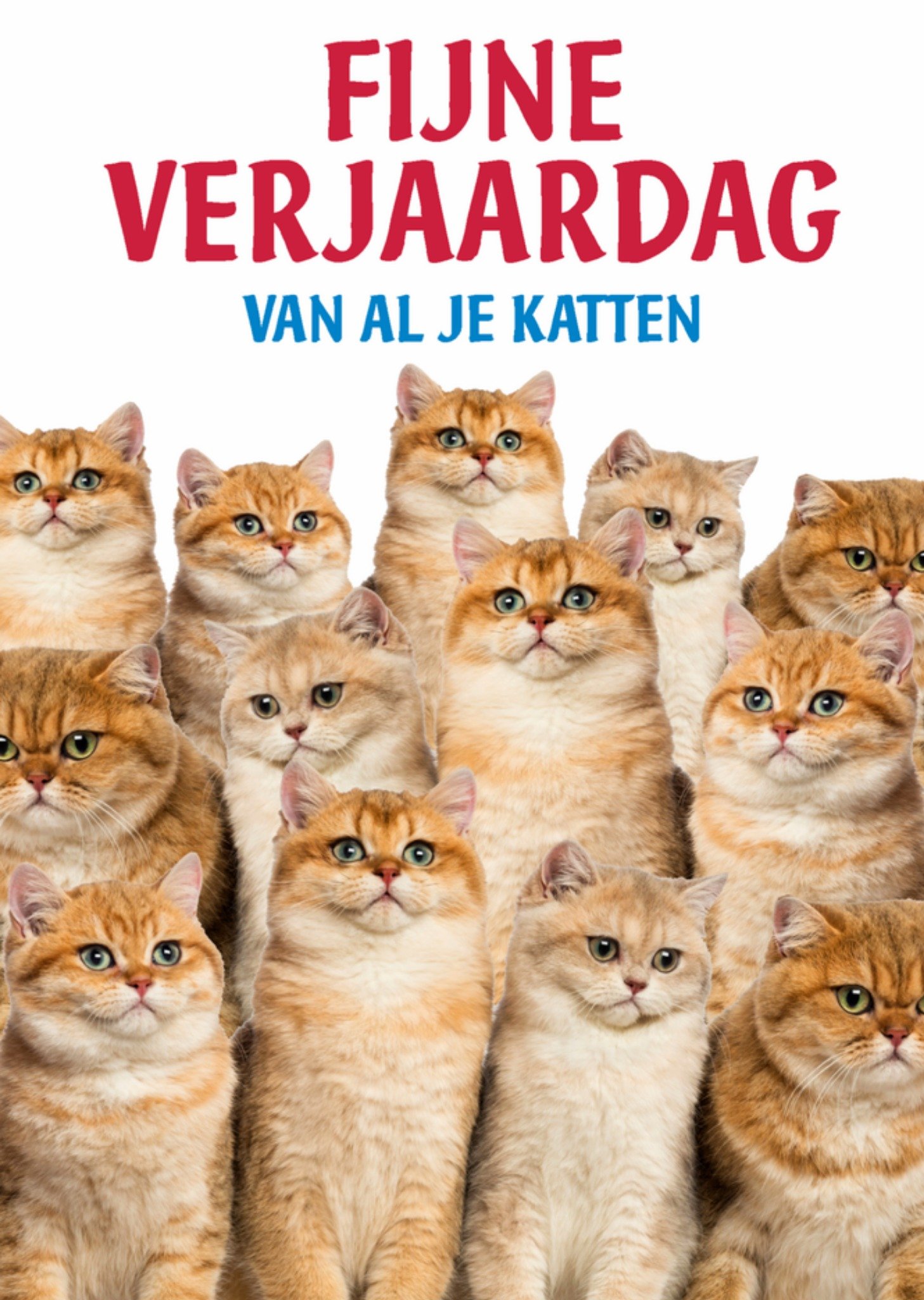 Verjaardagskaart katten grappig Kaart Dean Morris