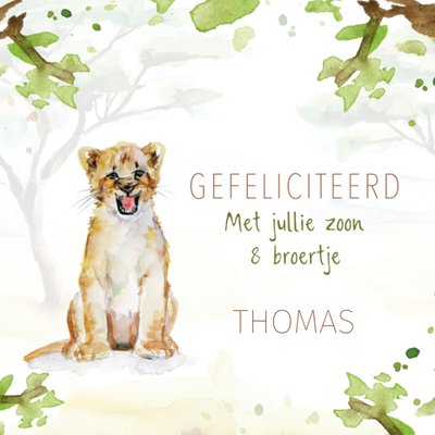 Met Jullie Zoon En Broertje Aquarel Leeuwenwelp Geboorte Kaart